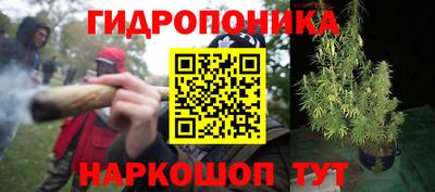 PSILOCYBIN Партизанск