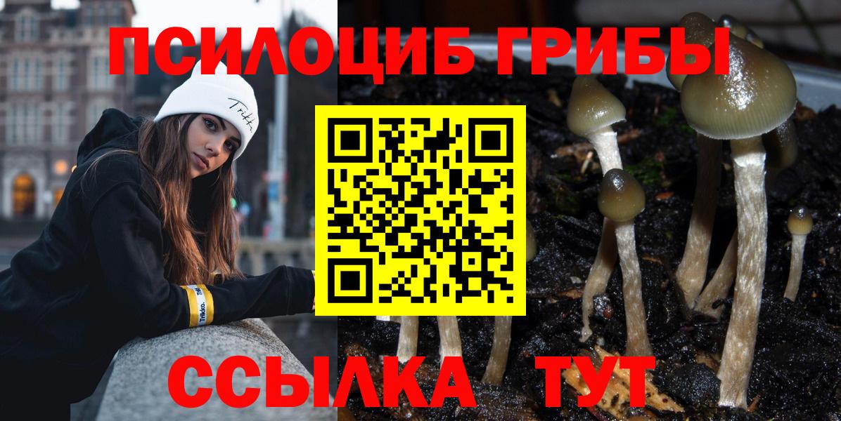 Галлюциногенные грибы GOLDEN TEACHER Тайшет