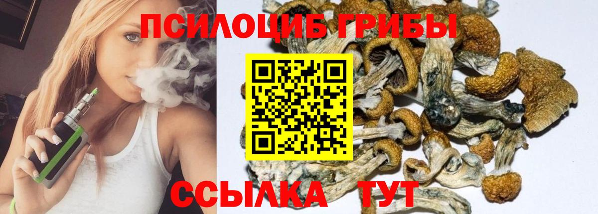 Псилоцибиновые грибы прущие грибы  Вход с VPN  Тайшет 